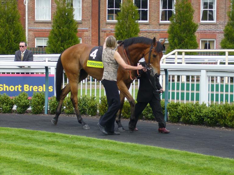 Lingfield 100508 2 30 x 30 Lingfield 100508 2 30 x 30