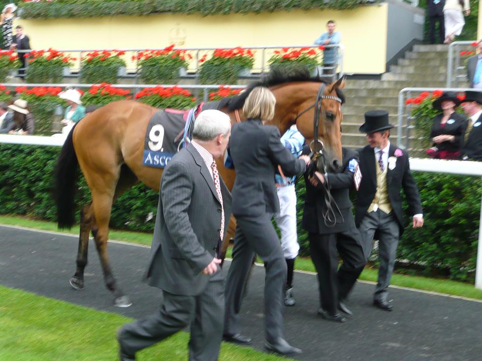 Pinpoint Royal Ascot 2008  3  30 x 30