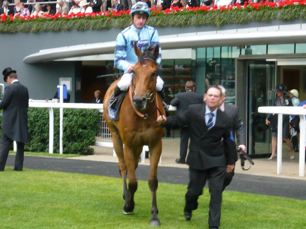 Pinpoint Royal Ascot 2008  4  30 x 30