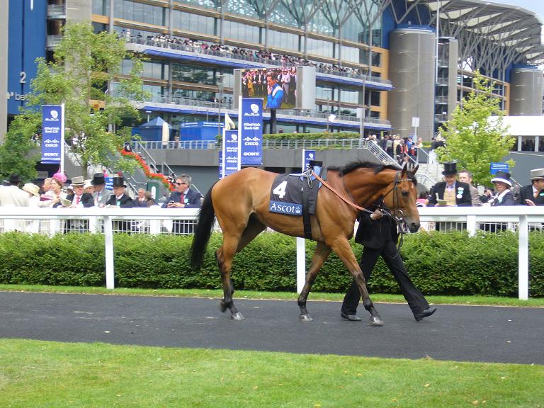 Royal Ascot 2009 2 30 x 30 Royal Ascot 2009 2 30 x 30