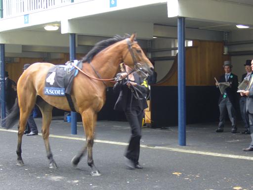 Royal Ascot 2009  4  20 x 20