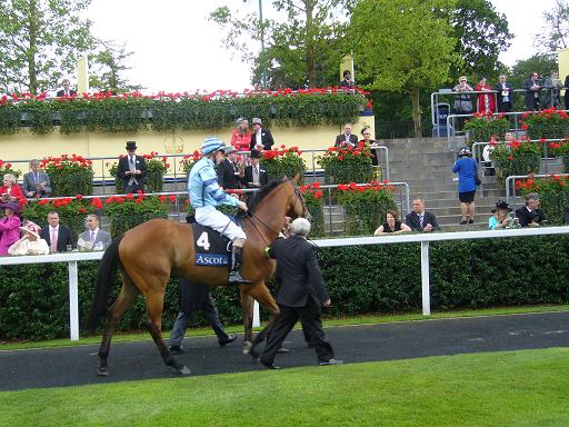 Royal Ascot 2009  5  20 x 20