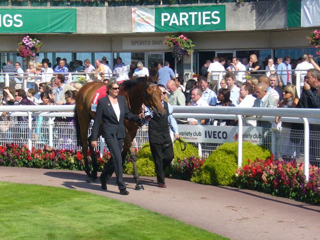Sandown 3 25 x 25 Sandown 3 25 x 25