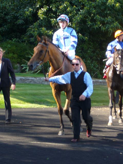 Sandown 5 25 x 25 Sandown 5 25 x 25