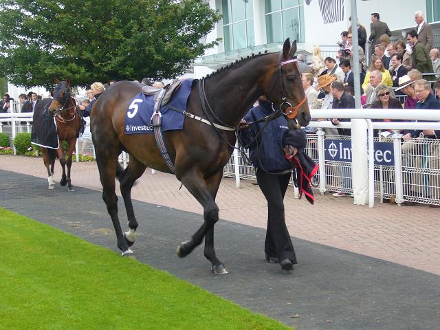 Something Derby Day 2 25 x 25 Something Derby Day 2 25 x 25