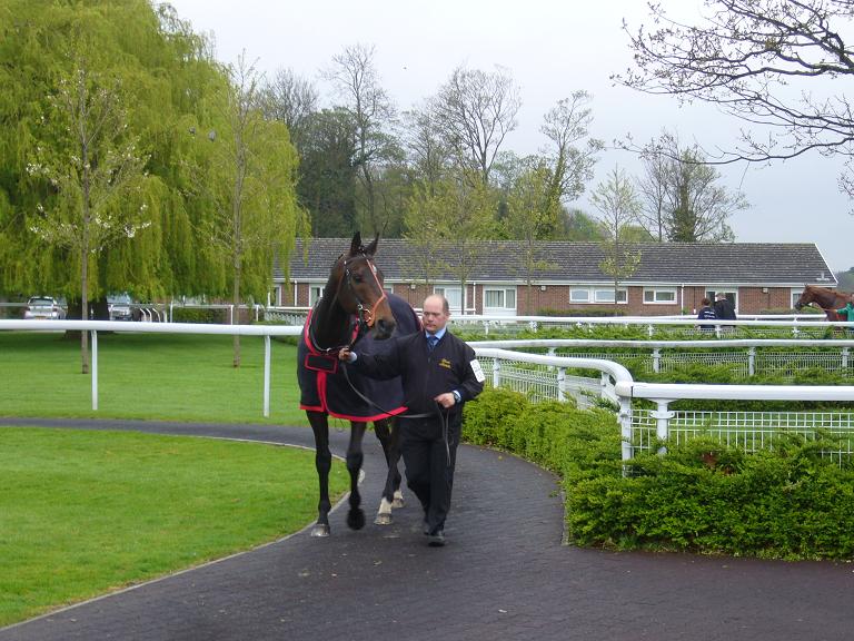Something Kempton 1 30 x 30 Something Kempton 1 30 x 30