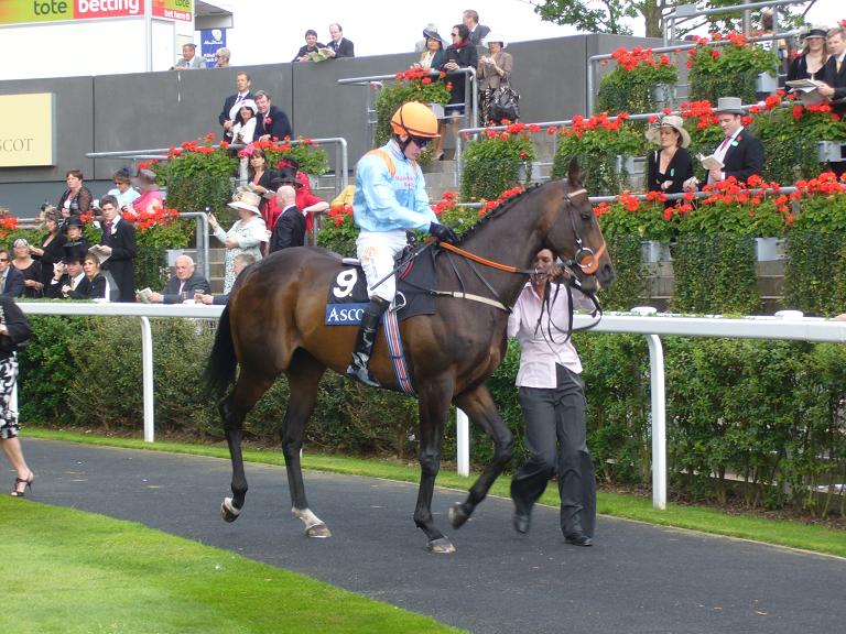 Something Royal Ascot 2009  2  30x 30