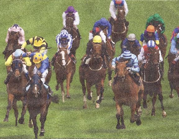 Sportinglife Scan 1 50 x 50 Sportinglife Scan 1 50 x 50