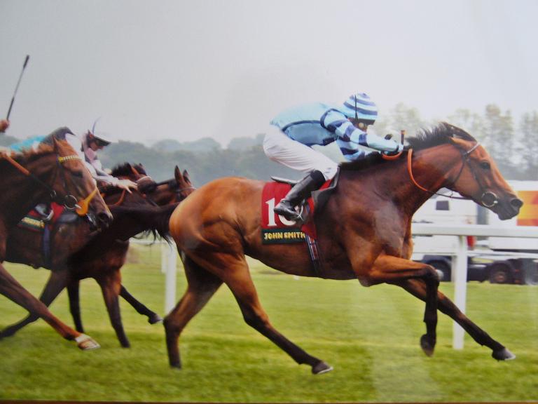 Winning chased by Charlie Cool Winning chased by Charlie Cool