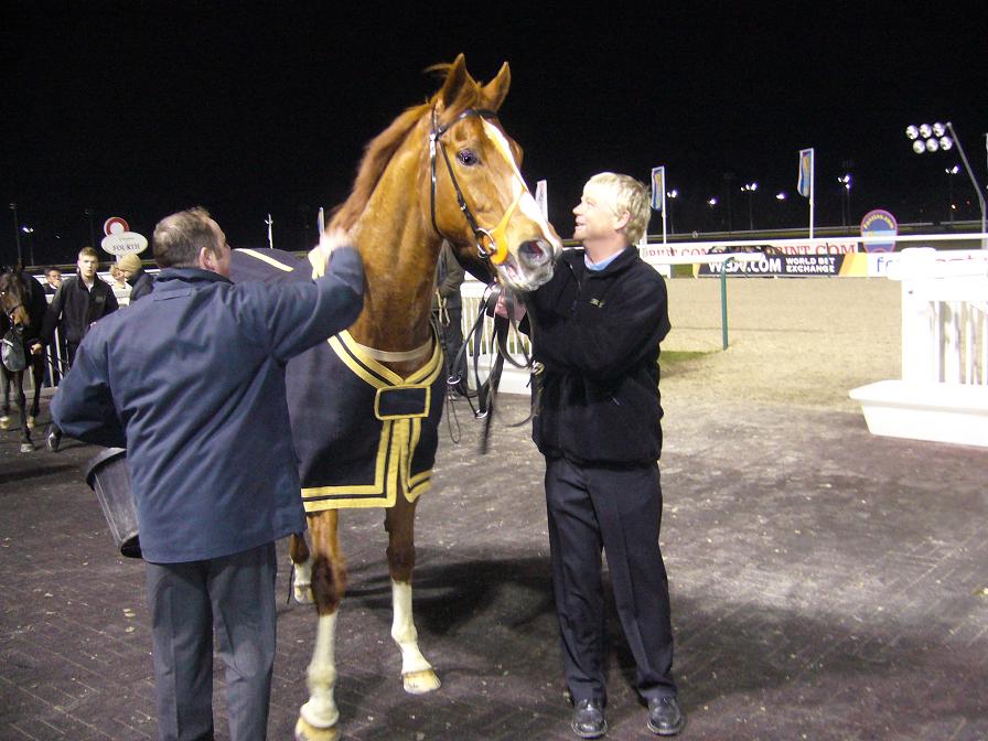 Wolverhampton Win 140208 2 35 x 35 Wolverhampton Win 140208 2 35 x 35